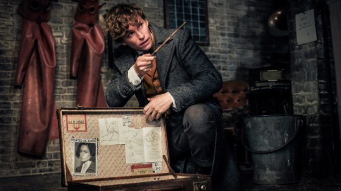 Eddie Redmayne als Newt Scamander in The Grimes of Grindelwald. © 2018 Warner Bros Ent.
